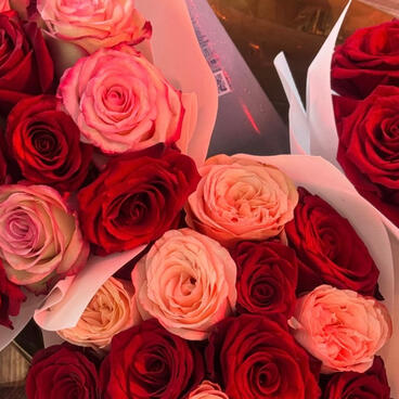 k.lex 🌹
